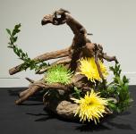 19 - Elizabeth Loan.jpg 5.9K